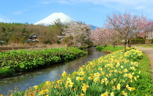 迎春富士山