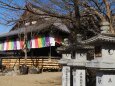 新春の安倍文殊院