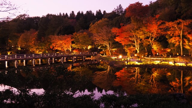 秋の夜の昭和記念公園