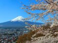 迎春富士山