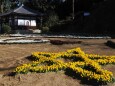 新春の大神神社