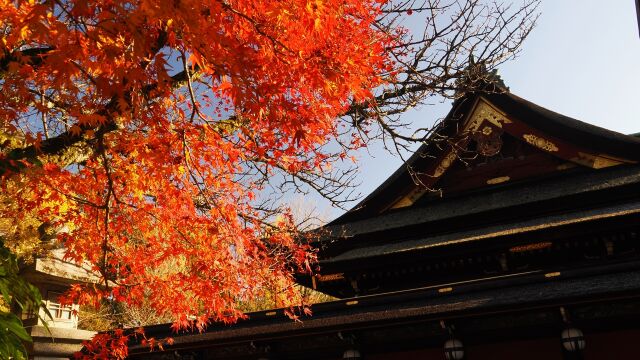 秋の北野天満宮