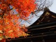 秋の北野天満宮