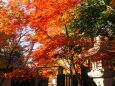 秋の北野天満宮