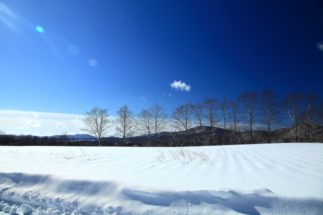 冬の高原