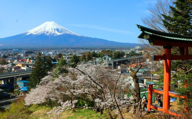 迎春富士山