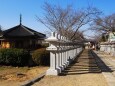 新春の安倍文殊院