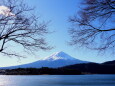 紅葉の終わった景色