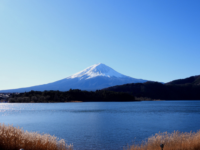 冬の富士山