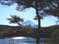 西湖の富士山