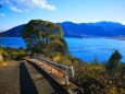 冬の海へ続く散歩道