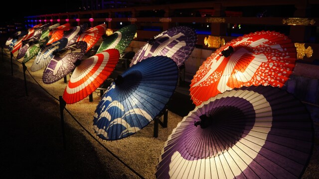 冬の夜の平安神宮