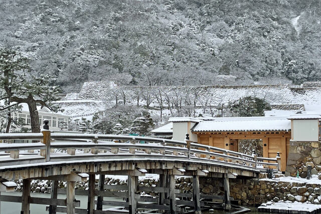 雪の鳥取城趾