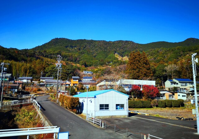 冬の里山