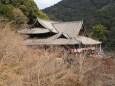 新春の奈良長谷寺