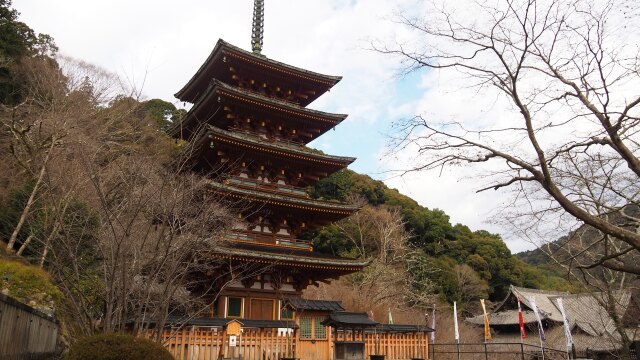 新春の奈良長谷寺