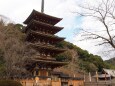 新春の奈良長谷寺