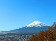 富士吉田市