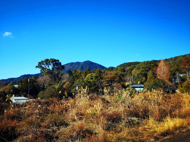 冬の里山