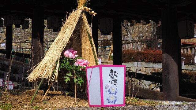 新春の奈良長谷寺