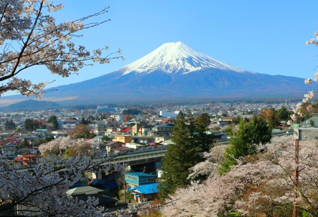 迎春富士山