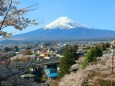 迎春富士山