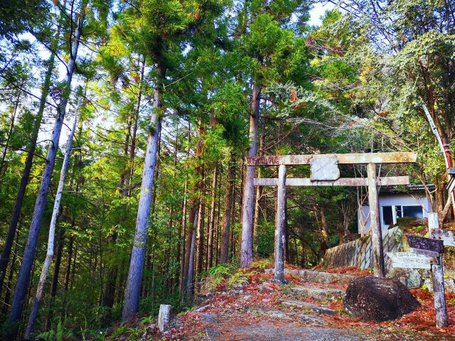 冬の熊野古道