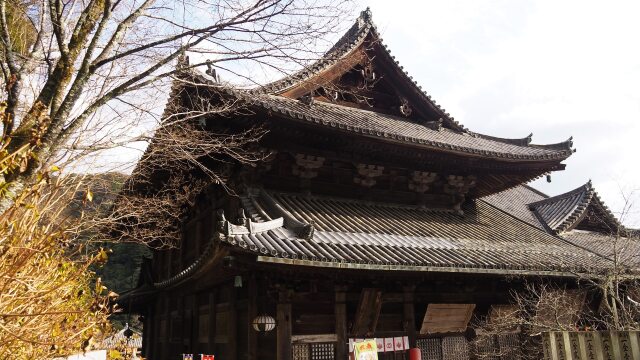 新春の奈良長谷寺