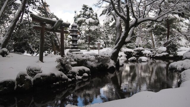 冬の兼六園