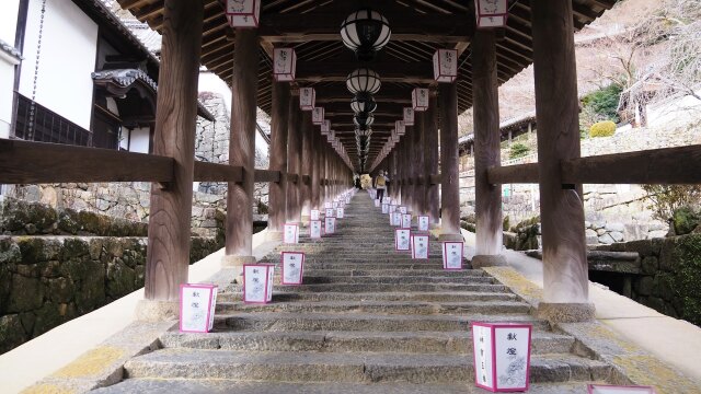 新春の奈良長谷寺