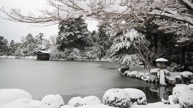 冬の兼六園