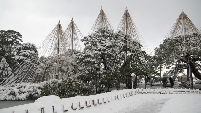 冬の兼六園