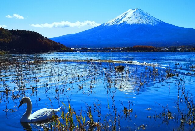 河口湖と富士山