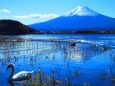 河口湖と富士山