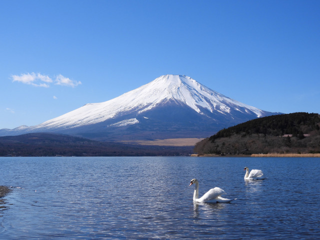 冬の山中湖