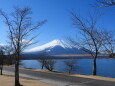 山中湖の風景