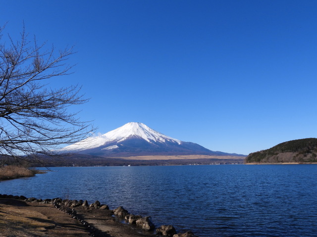 冬の風景