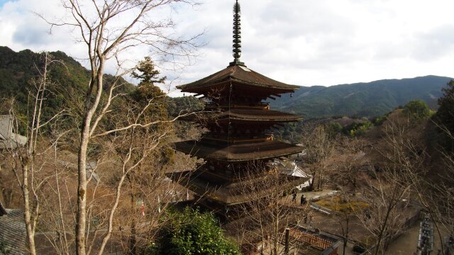 新春の奈良長谷寺