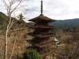 新春の奈良長谷寺