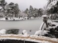 冬の兼六園