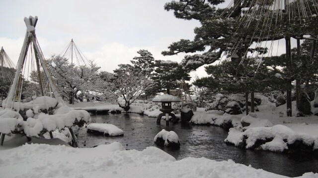 冬の兼六園