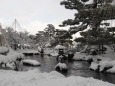 冬の兼六園