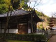 新春の奈良長谷寺