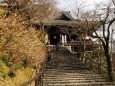 新春の奈良長谷寺