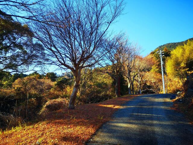 東紀州冬の散歩道