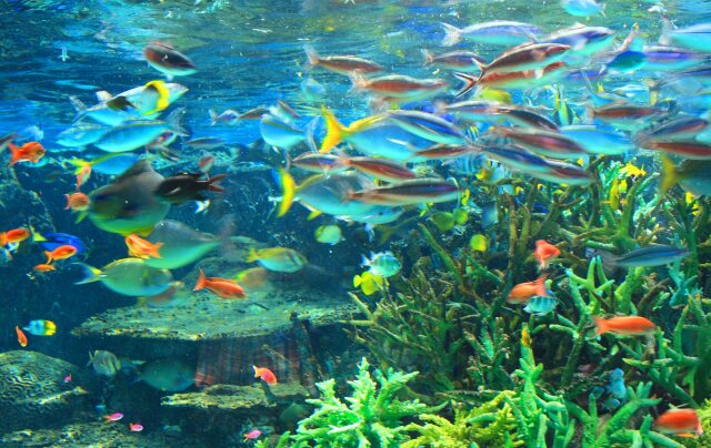 名古屋港水族館