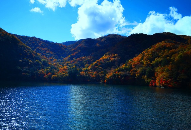 中禅寺湖