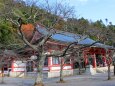 鞍馬寺