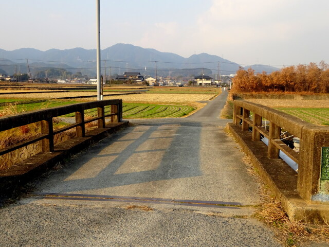 冬枯れの田舎道