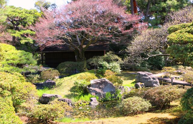 京都御所庭園